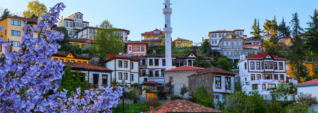 Noah Jigsaw Puzzle Catholic church of Santa Ines. Cumana, State of Sucre - Venezuela Panorama 1000 Pieces