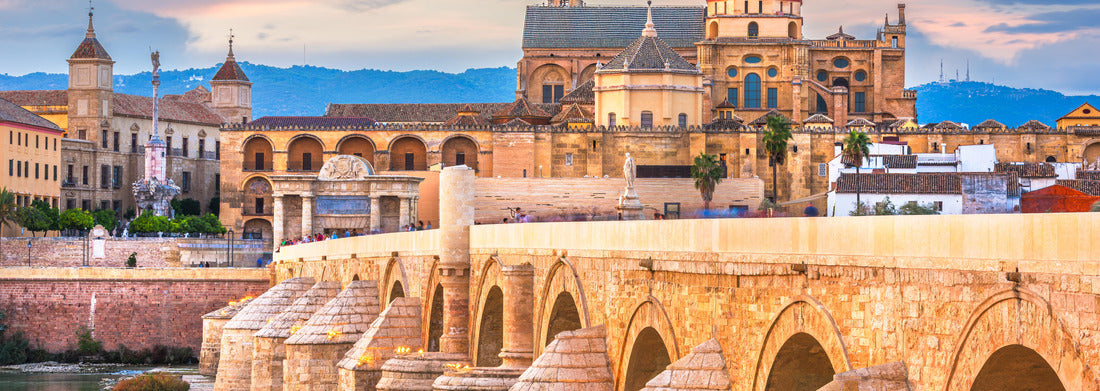 Noah Jigsaw Puzzle Cityscape of Trebic with the town tower, Czech Republic Panorama 1000 Pieces