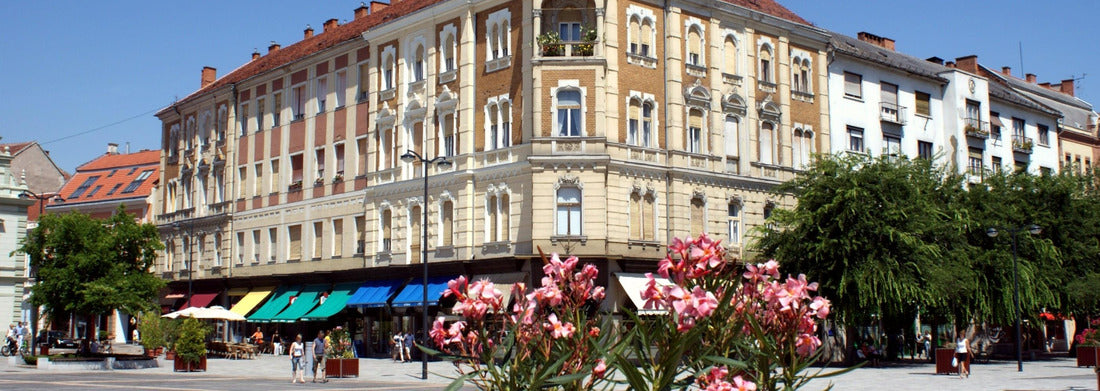 Noah Jigsaw Puzzle Dog pooping on a meadow Panorama 1000 Pieces