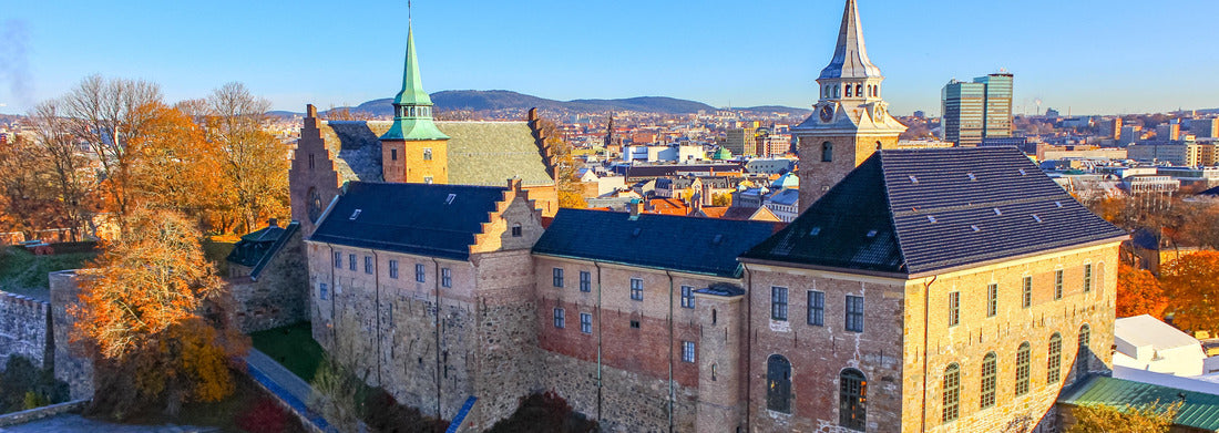Noah Jigsaw Puzzle Cruise ship in front of the temple of Abu Simbel Panorama 1000 Pieces