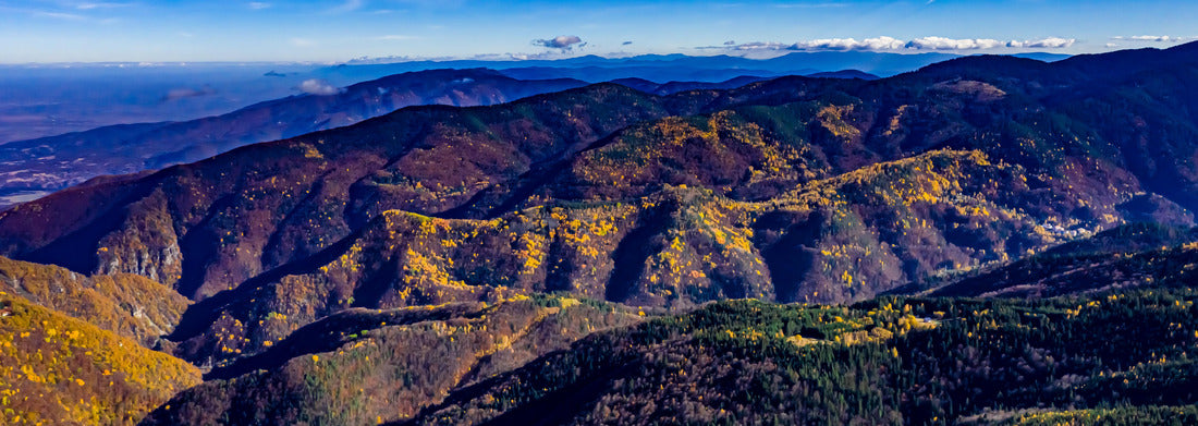 Noah Jigsaw Puzzle New York City skyline from Queens Panorama 1000 Pieces
