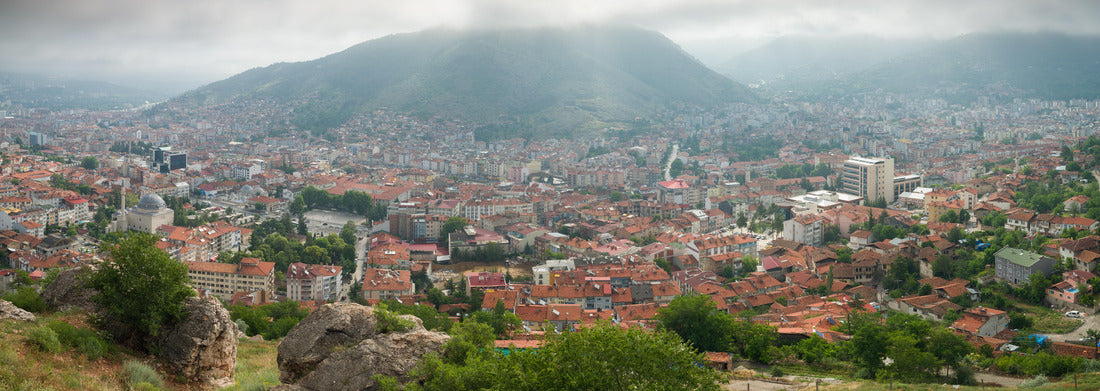 Noah Jigsaw Puzzle Catedral de Ciudad de Bolívar, Venezuela Panorama 1000 Pieces