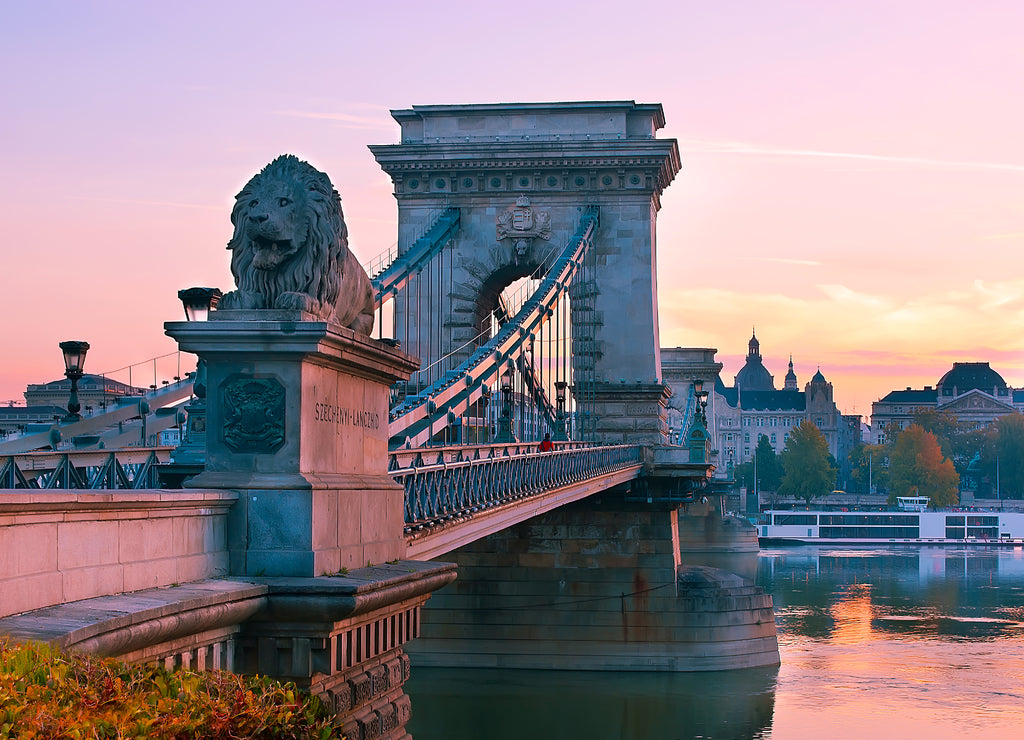 The lion sculpture on the Chain Bridge at sunrise, Budapest, Hungary