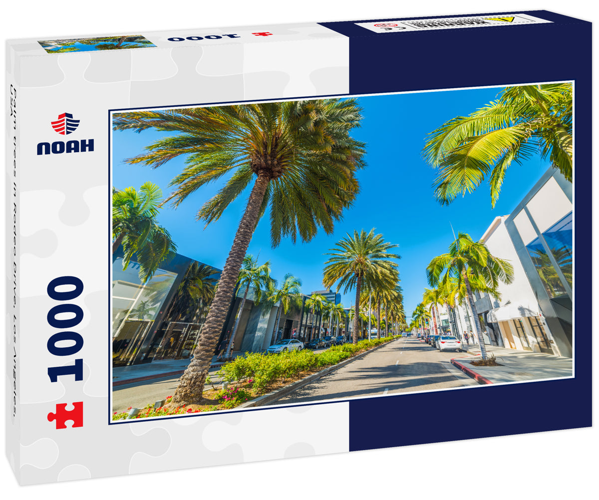 Palm trees in Rodeo Drive, Los Angeles, USA
