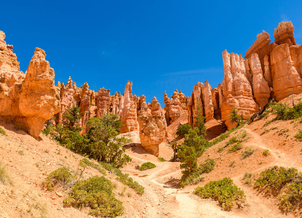 Bryce Canyon National Park - Hiking on the Queens Garden Trail and Najavo Loop into the canyon, Utah