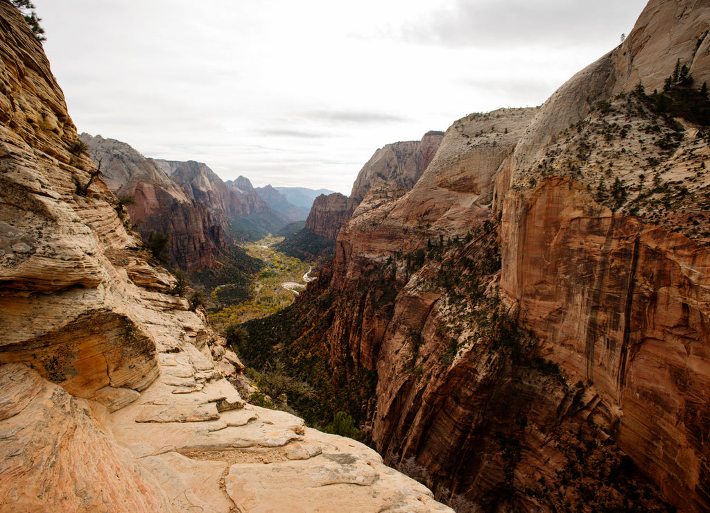 Rock formations, Zion National Park, Utah, USA
