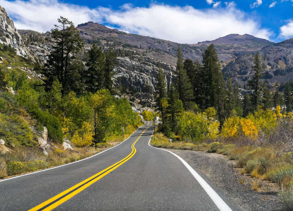 Driving through the Sierra mountains on a sunny day, California