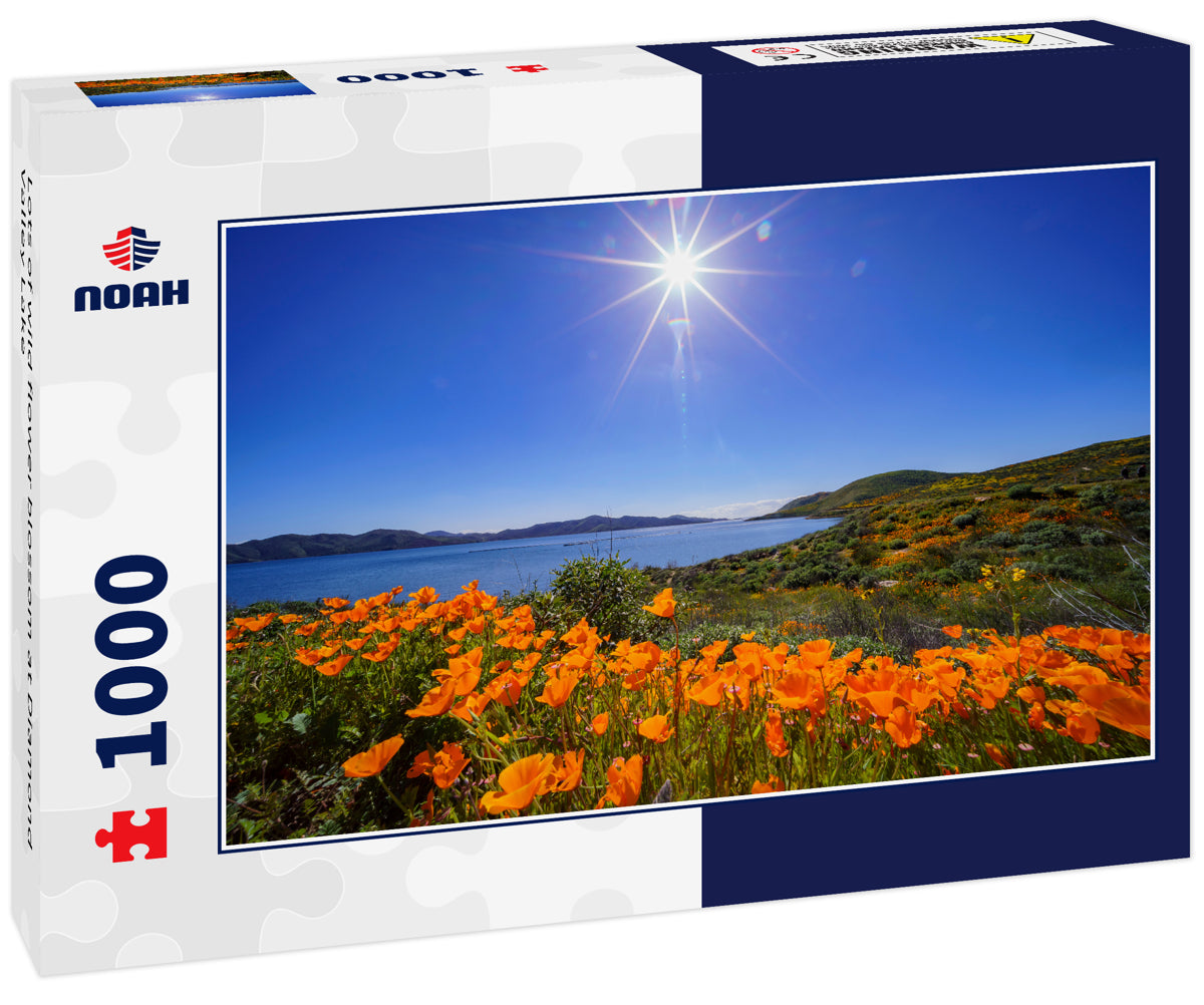 Lots of wild flower blossom at Diamond Valley Lake