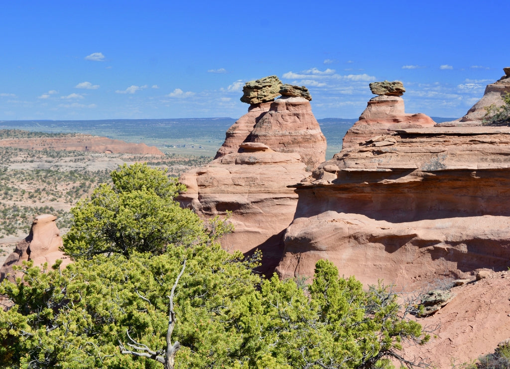 Red Rock Park Gallup New Mexico Desert Hiking Sandstone View