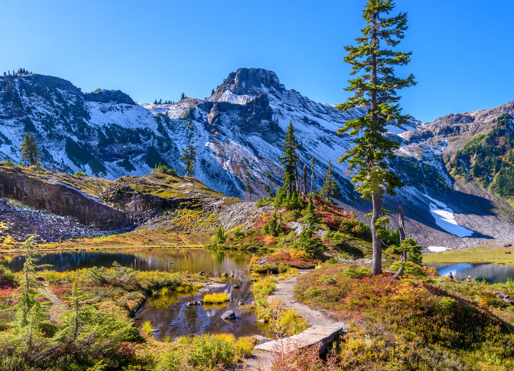 Fragment of a trail in Mount Baker Visitor Center, Washington