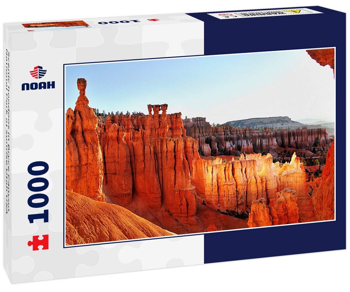 Scenic hoodoos in Bryce Canyon National Park at sunrise Utah USA