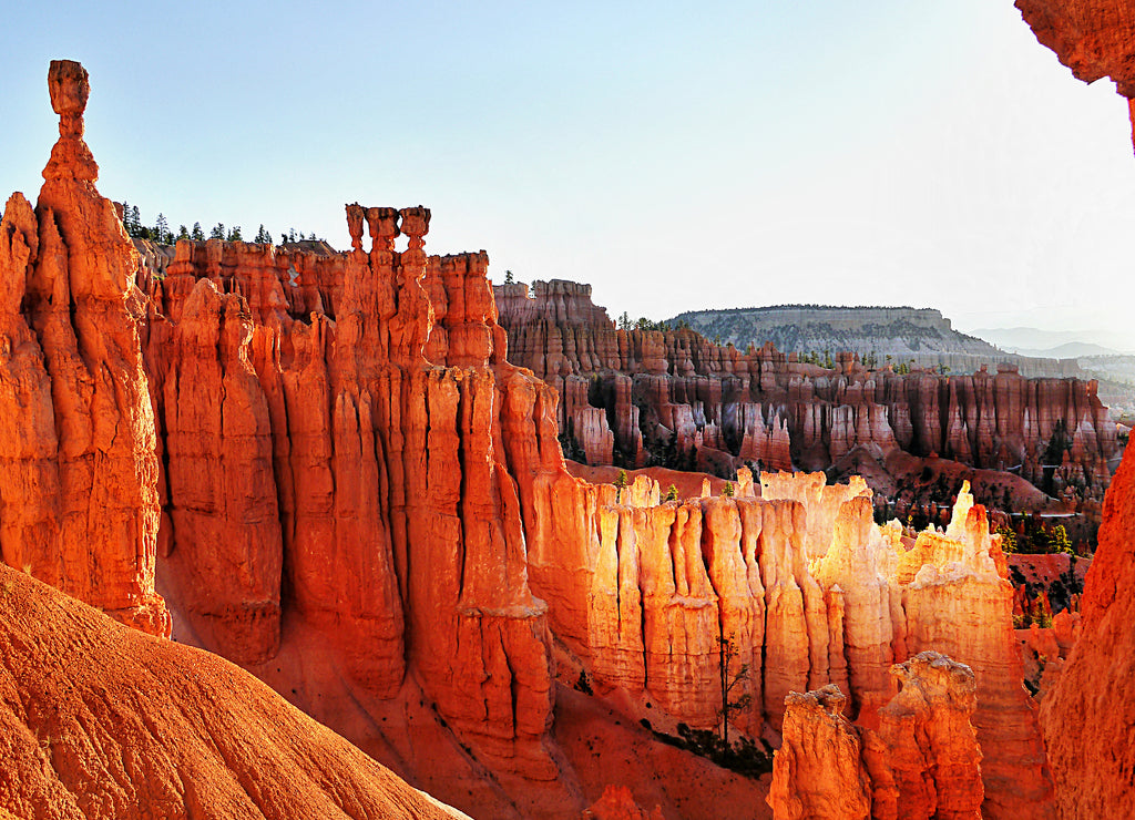 Scenic hoodoos in Bryce Canyon National Park at sunrise Utah USA
