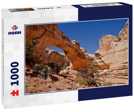 Hickman Bridge, a natural arch in Capitol Reef National Park