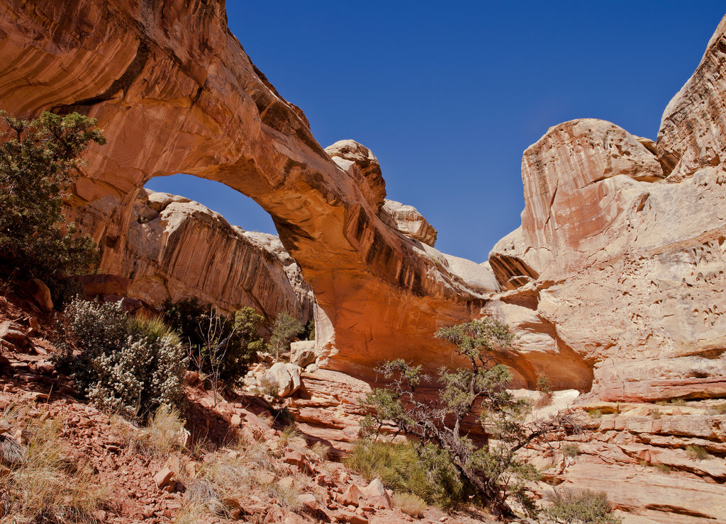 Hickman Bridge, a natural arch in Capitol Reef National Park
