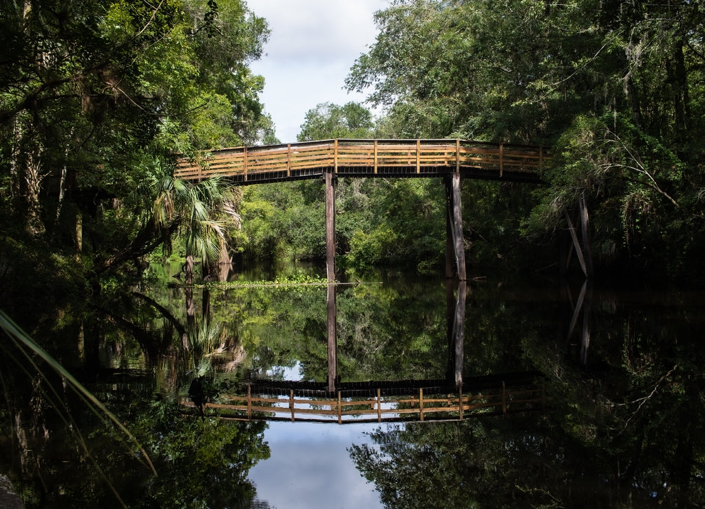 Beautiful view of the bridge at Hillsborough River State Park, Florida, USA