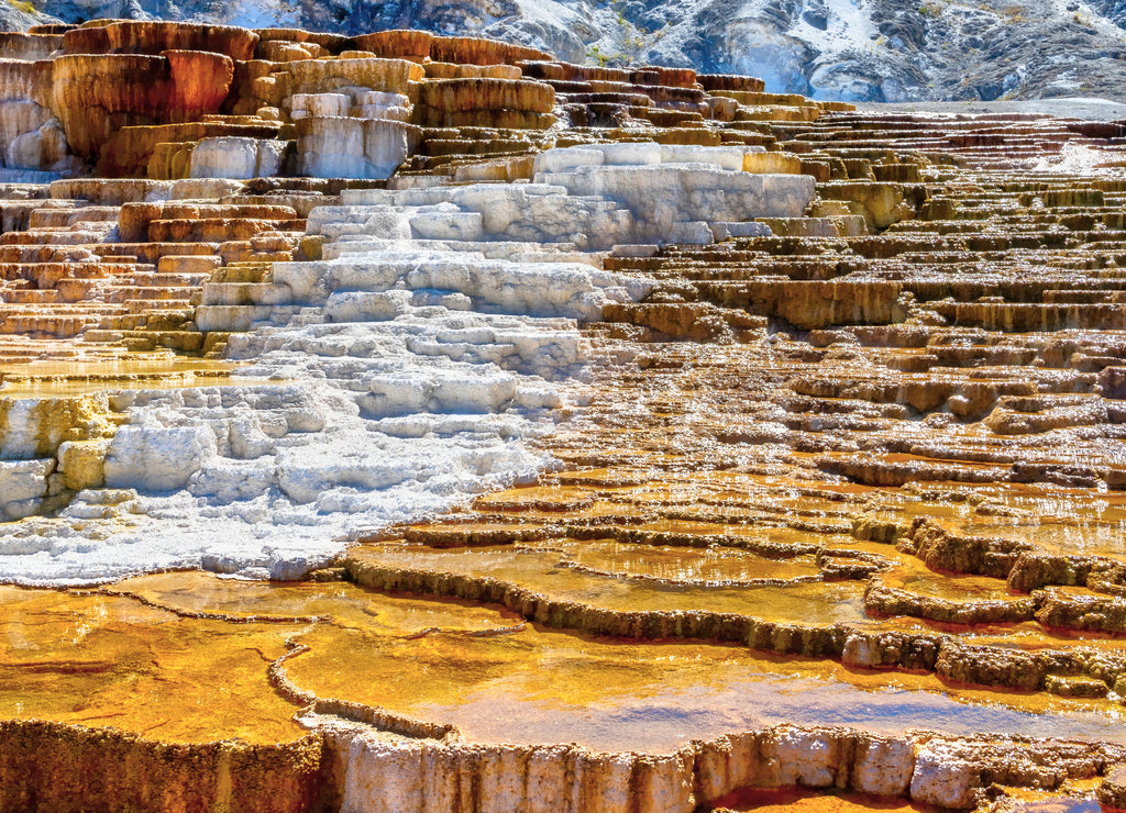 Panoramic Close up of Jupiter and Mound Terraces at Mammoth Hot Springs in Yellowstone National Park