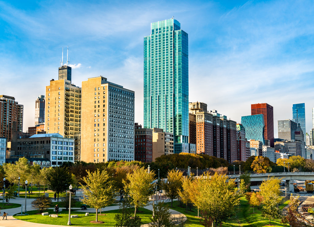 Skyline of Chicago at Grant Park in Illinois - United States