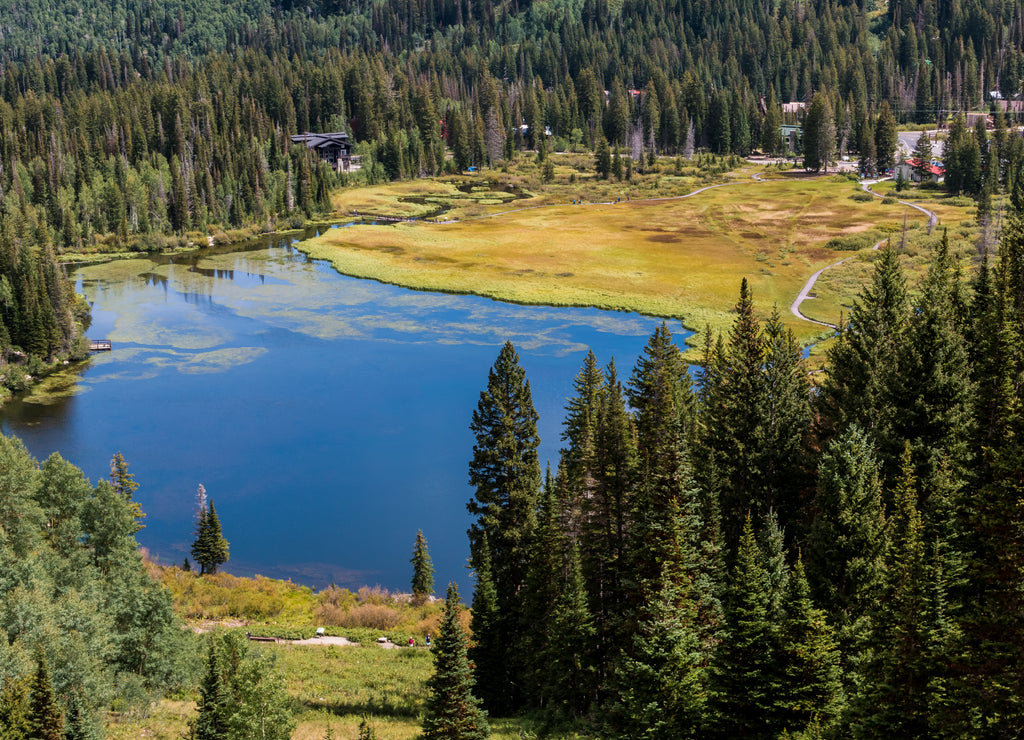 Elevated View of Silver Lake, Silver Lake Nature Area, Brighton, Utah, USA
