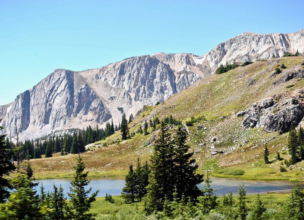 Medicine Bow National Forest in Wyoming, United States