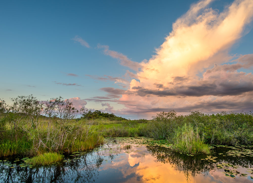 Mesmerizing view of Everglades National Park in Florida at sunset