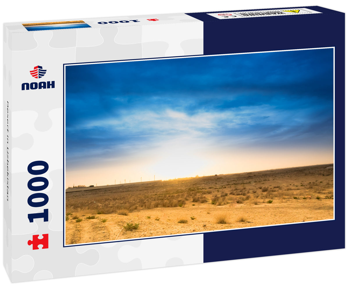 Desert in Uzbekistan