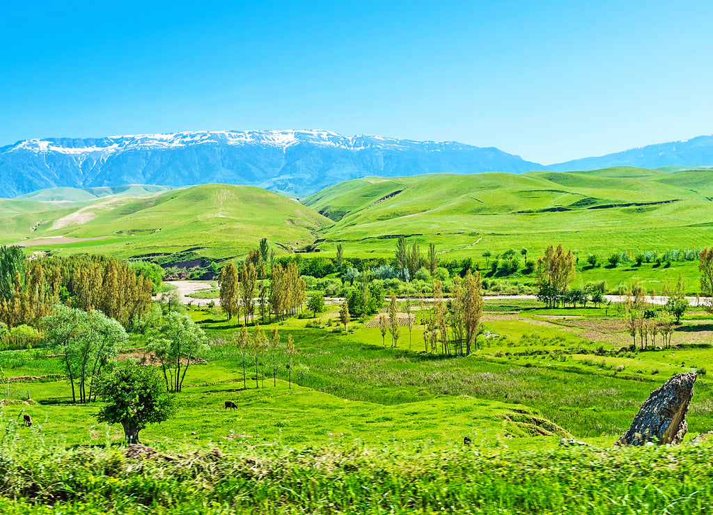 The green foothills in Pamir-Alay Mountains, Uzbekistan