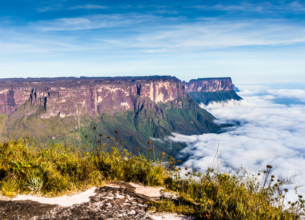 View from the Roraima tepui on Kukenan tepui- Venezuela