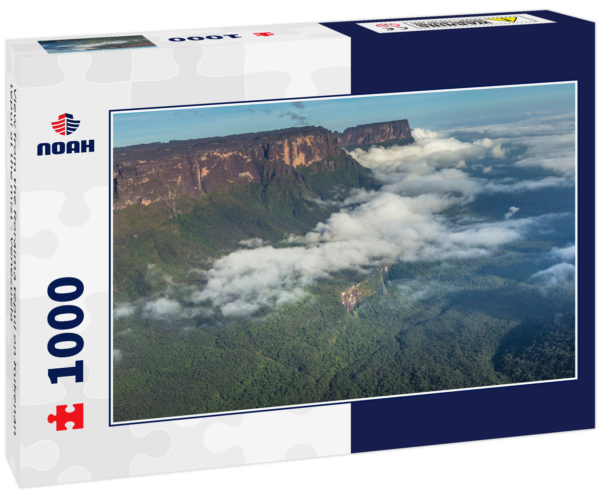 View from the Roraima tepui on Kukenan tepui at the mist - Venezuela