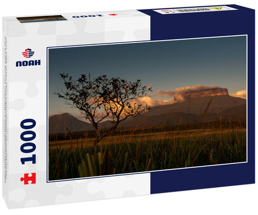 View with of the Ptari Tepui plateau at sunset on the way to the Karuay waterfall La Gran Sabana Venezuela