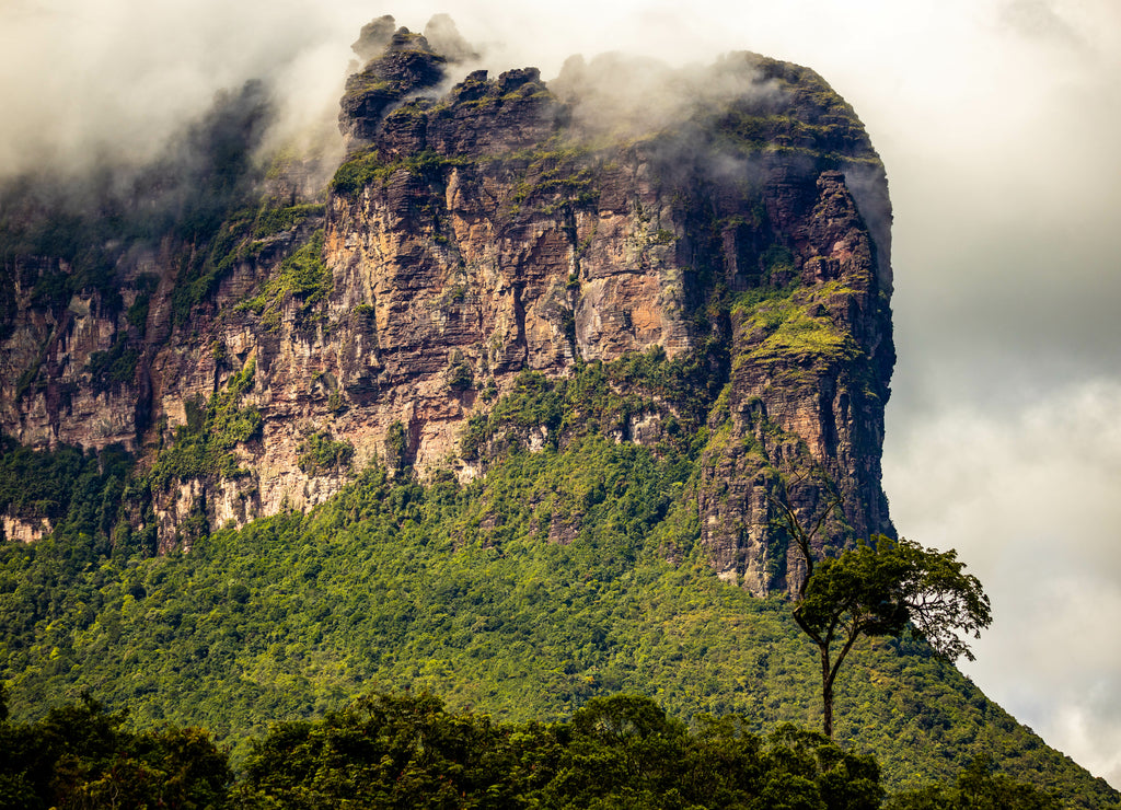 Scenic view of Canaima National Park Mountains and Canyons