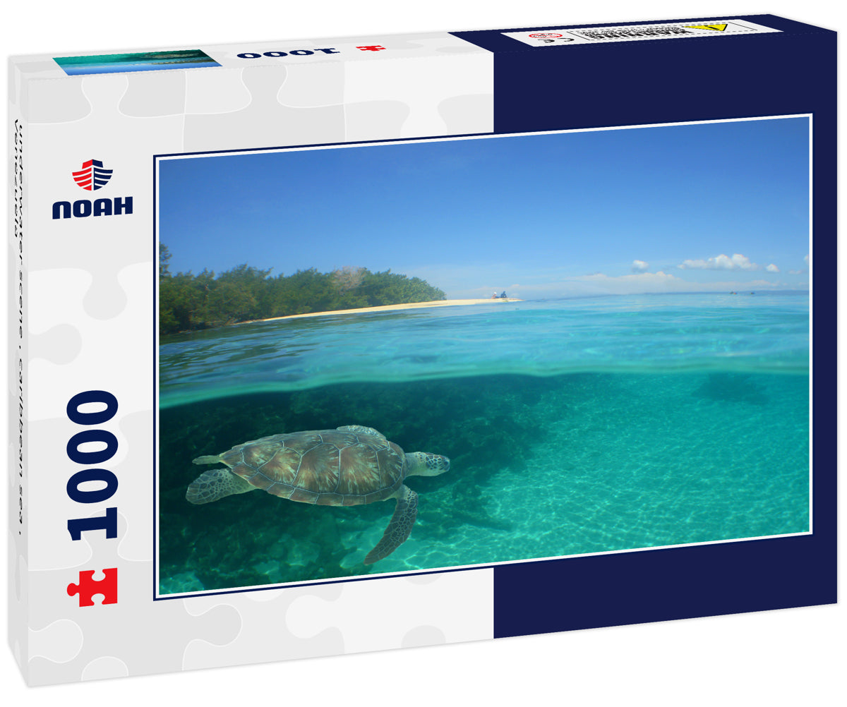 underwater scene , caribbean sea , Venezuela