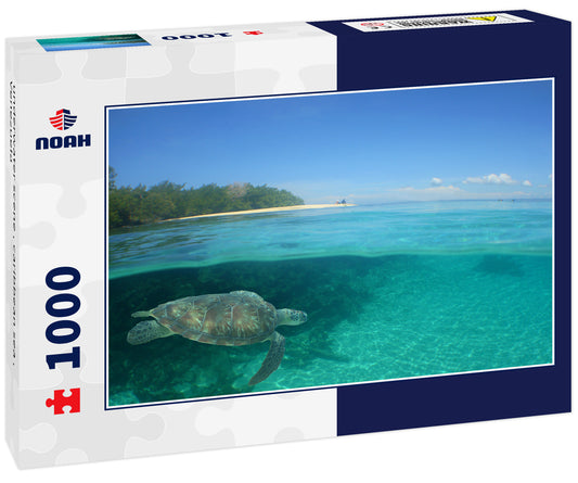 underwater scene , caribbean sea , Venezuela