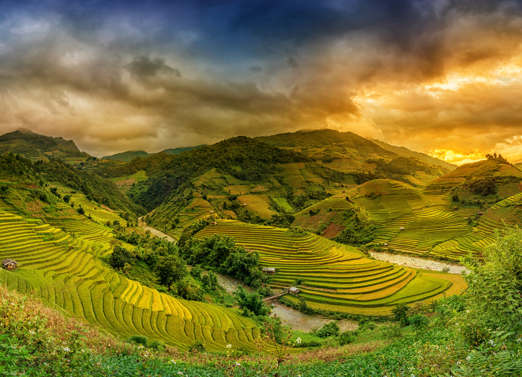 Rice fields on terraced in sunset Mu chang chai, Yen bai, Vietnam