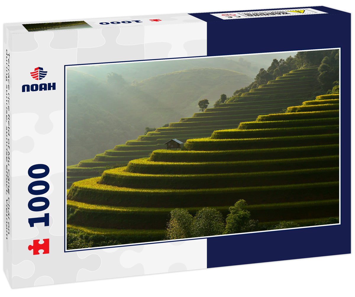 Terrace rice field of Mu Cang Chai on during sunrise, sunrise effact, Vietnam