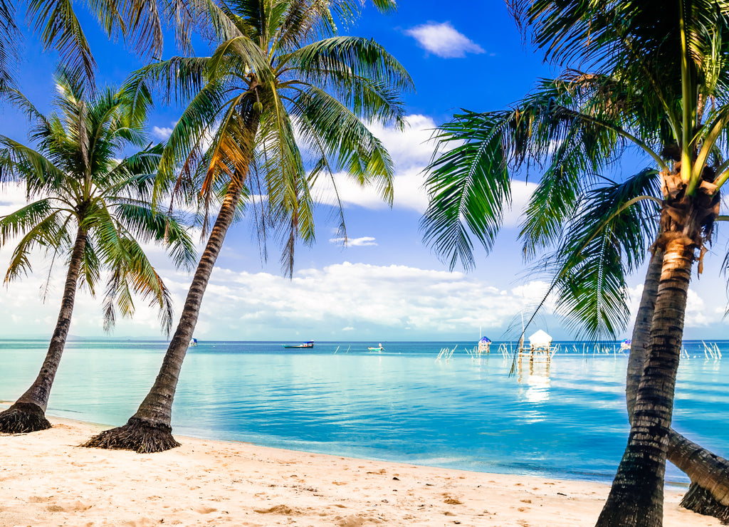 View on turquoise palm beach by Phu quoc island in Vietnam