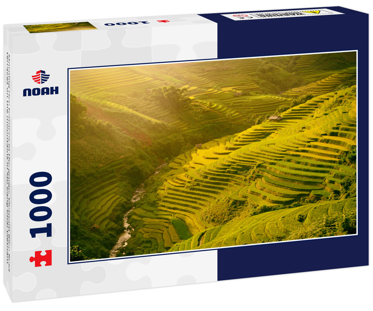 Morning rice terraces in the gorge. Vietnam Rice field terraces on the mountains in Mu Cang Chai Vietnam