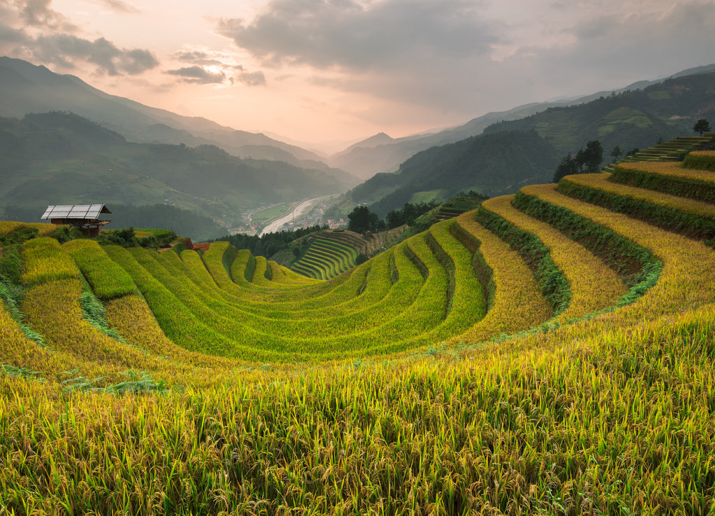 Beautiful landscape rice fields on terraced of Mu Cang Chai