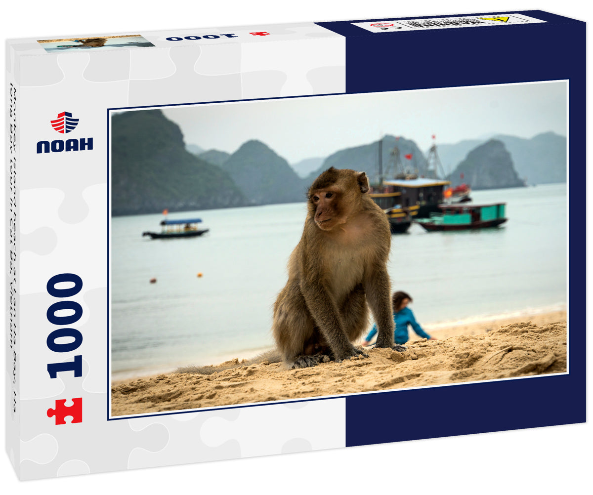 Monkey island beach at Lan Ha Bay, Ha long Bay tour in Cat Ba, Vietnam