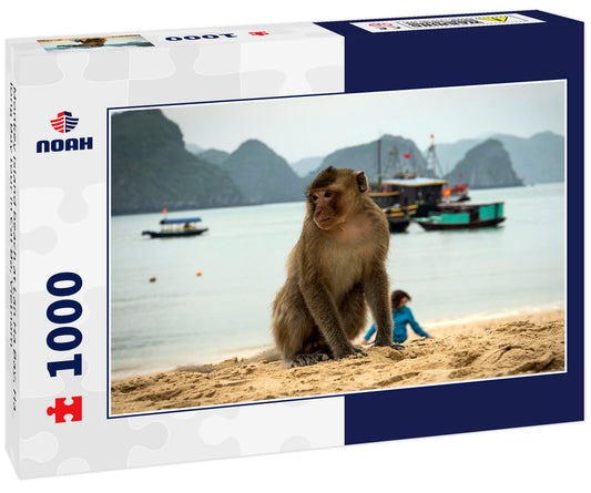 Monkey island beach at Lan Ha Bay, Ha long Bay tour in Cat Ba, Vietnam