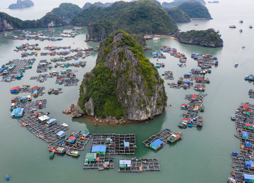 Aerial view of Floating fishing village in Lan Ha Bay, Vietnam. UNESCO World Heritage Site. Near Ha Long bay