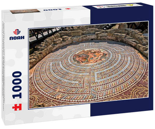 Impressive and very well preserved mosaic in the "House of Theseus", at the Archaeological Park of Kato Paphos (UNESCO World Heritage Site), Cyprus