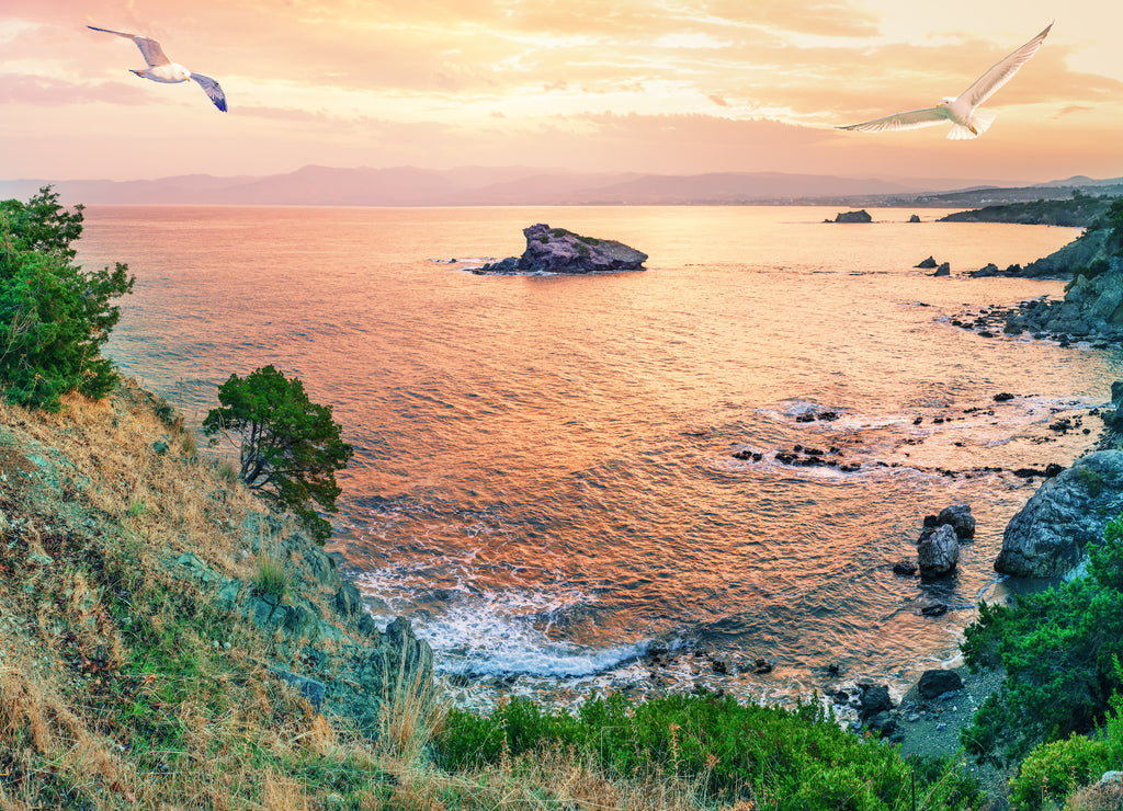 Cape Akamas Bay with seagulls in sky at sunset