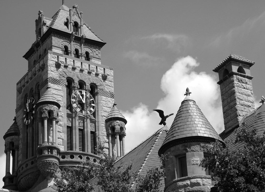 courthouse clock tower & eagle in waxahachie, texas in black white