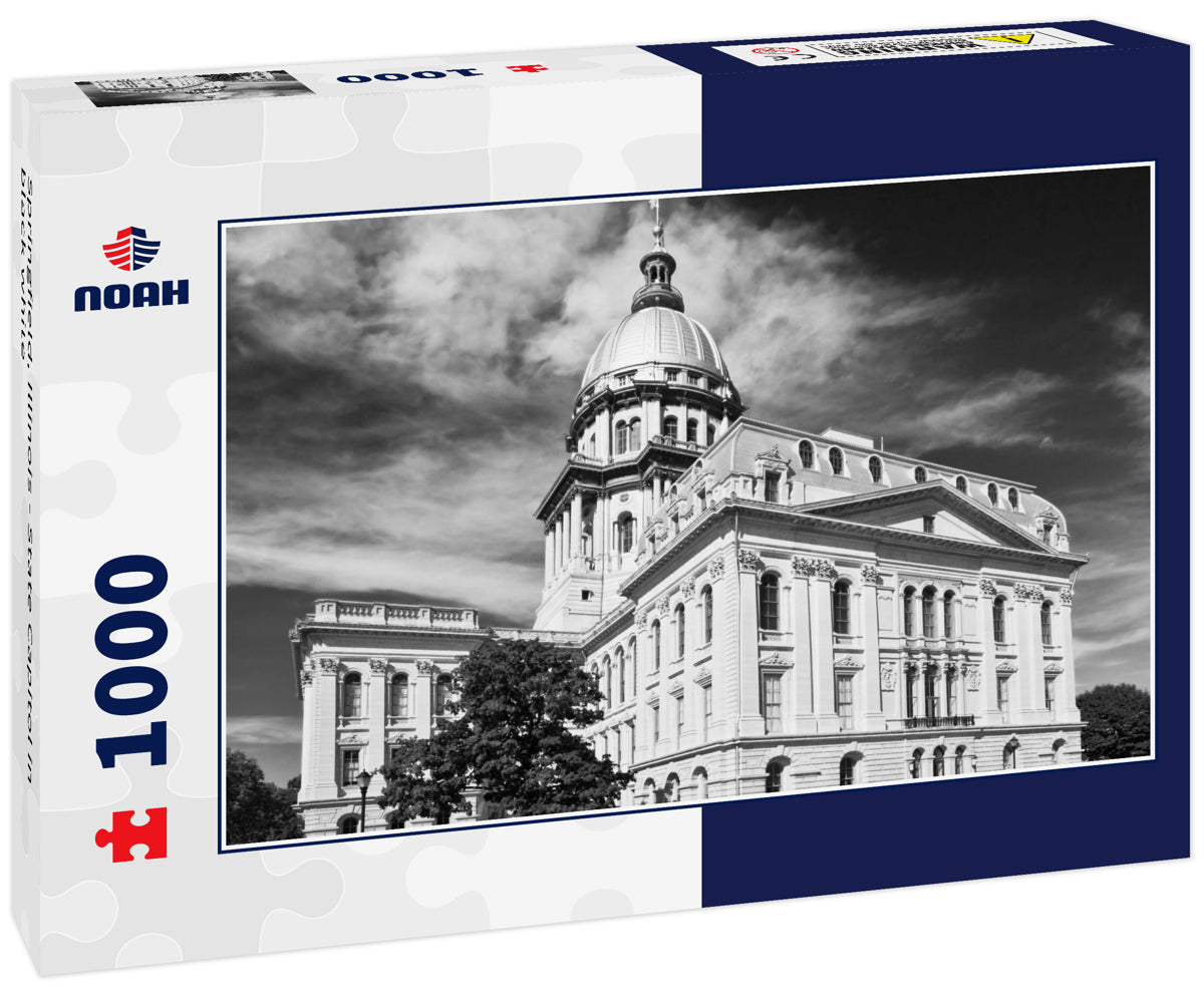 Springfield, Illinois - State Capitol in black white