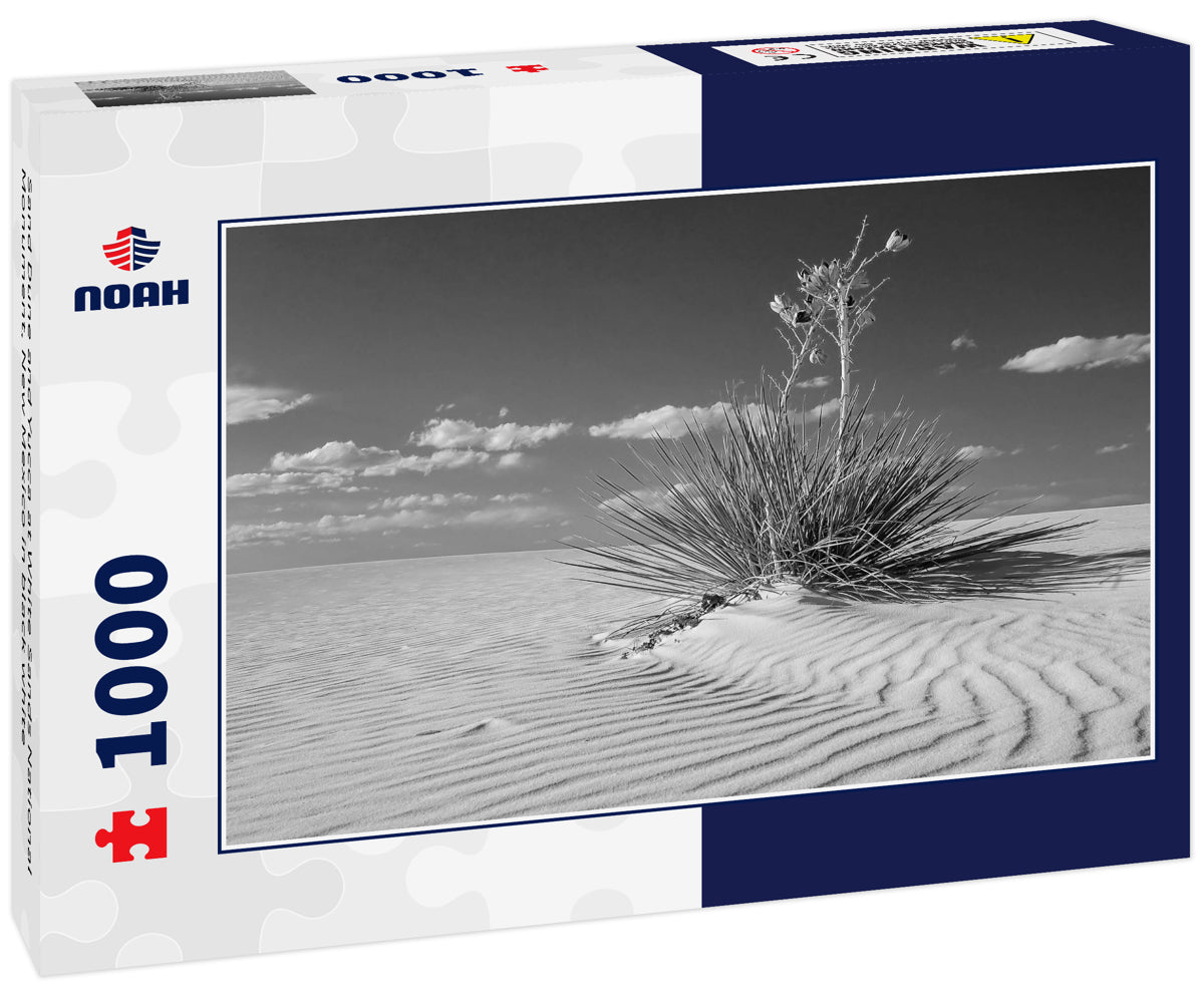Sand Dune and Yucca at White Sands National Monument, New Mexico in black white