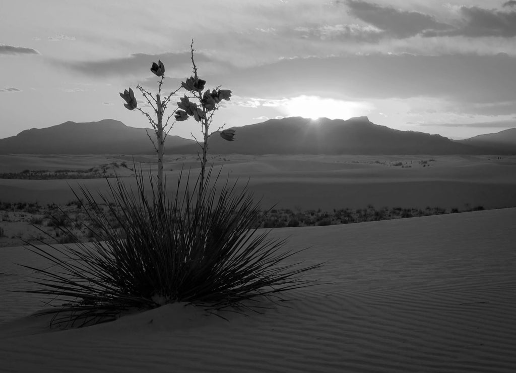 White Sands National Monument Sunset, New Mexico - Timelapse in black white