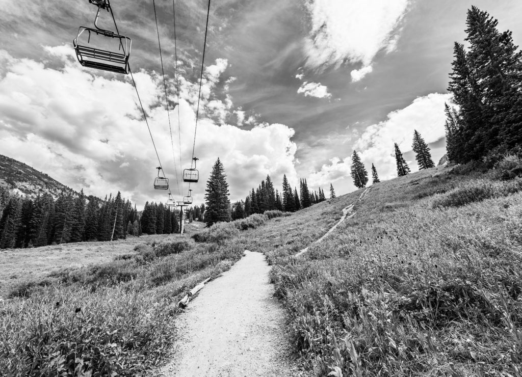 Ski Lift in Alpine Meadows in Albion Basin of Wasatch National Forest, Utah in black white