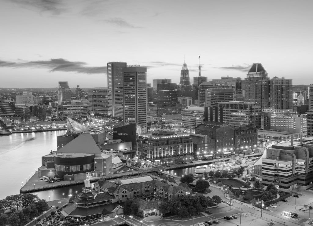 Baltimore Maryland Skyline in black white