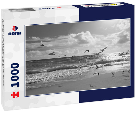 Singer Island beach at Palm Beach Florida US in black white