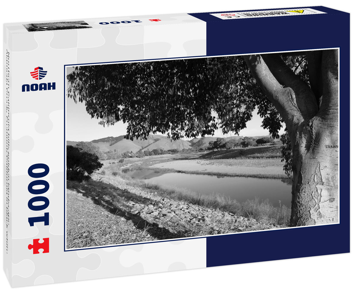 Northern California hills golden landscape Alameda Creek, Fremont, California in black white